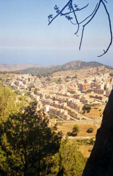 COD.0000000659 - Bosco edificabile Gratteri Cefalù 17.000 mq vista mare