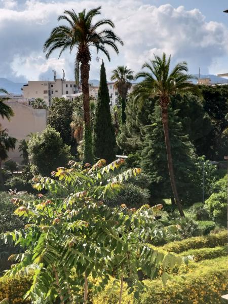 COD.0000001108 - P.zza Pe. di Camporeale / Lancia di Brolo 2 vani 